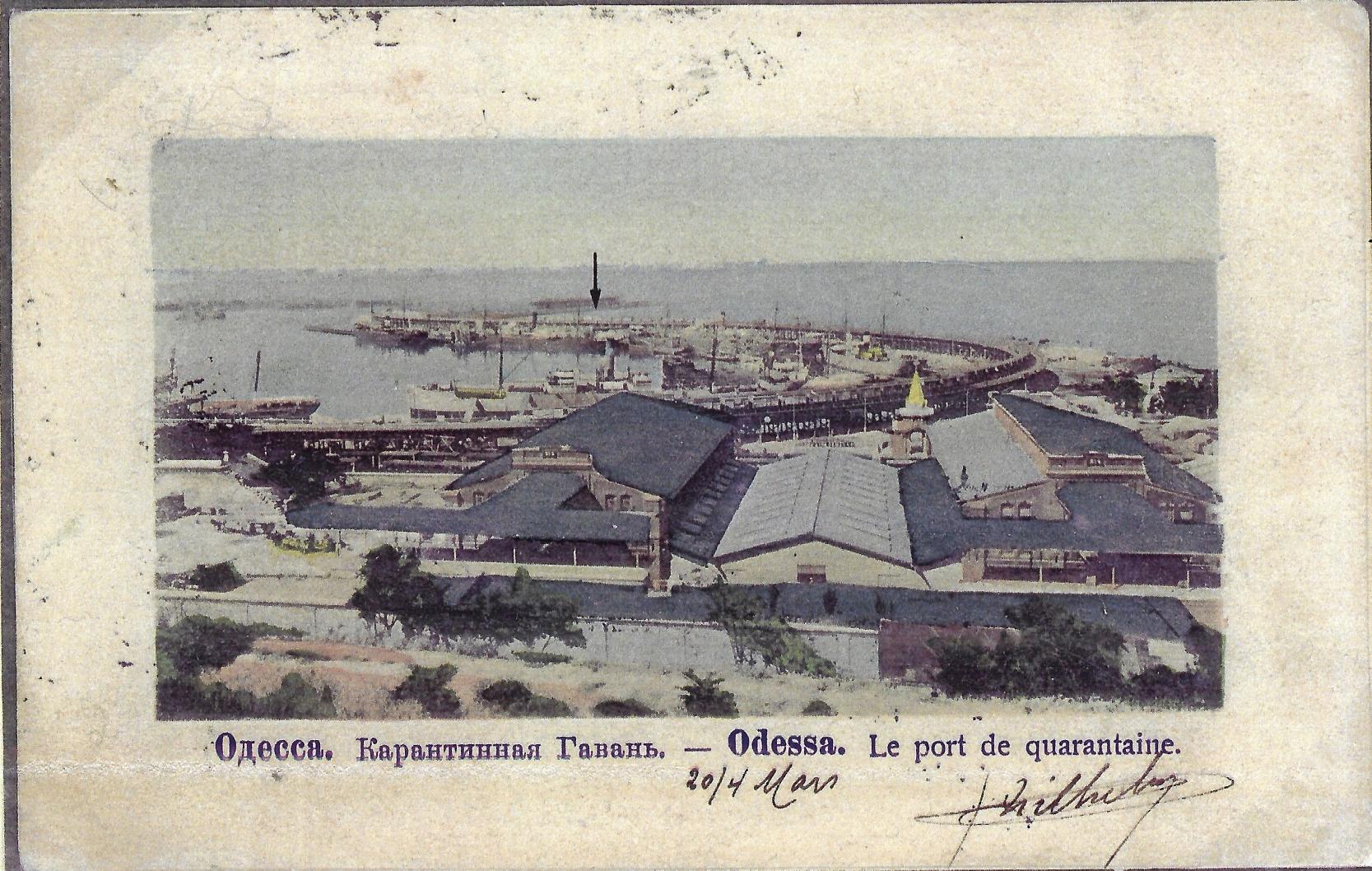 Image3