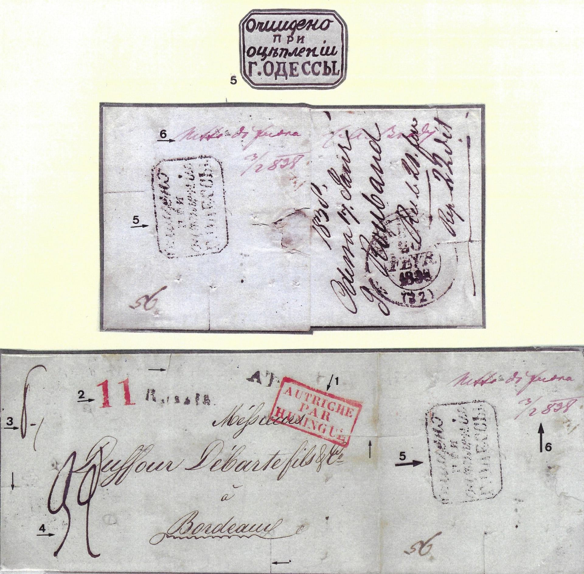 Image7